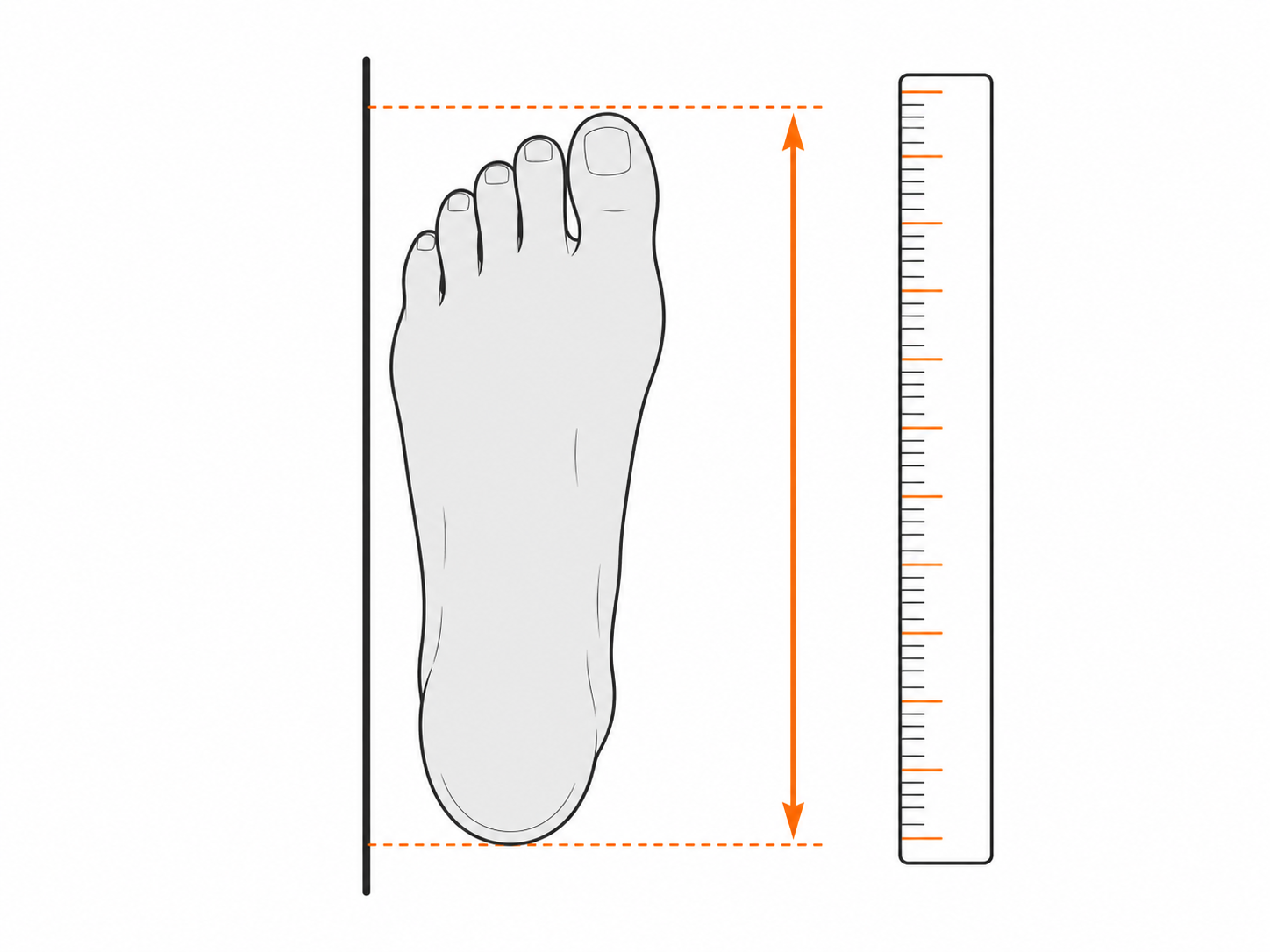 Fusslänge für Grip-Socks in Zentimetern messen